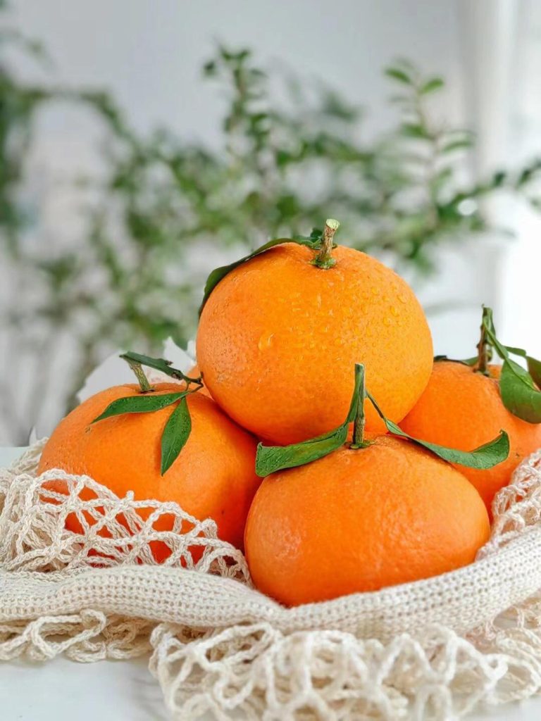 Grosir Jeruk Ehime – Buah sitrus manis untuk musim dingin
