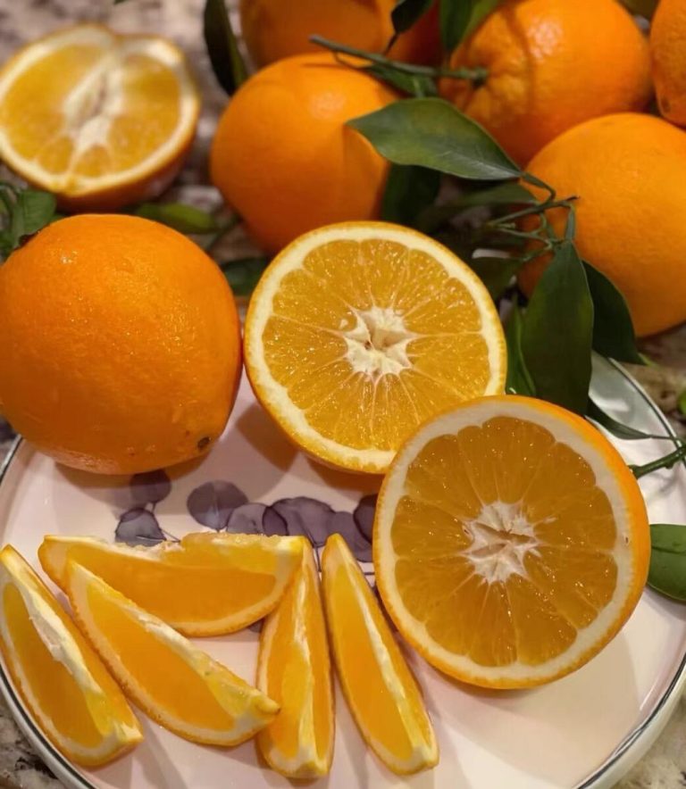 Jeruk Ehime Jelly segar – Pilihan buah pencuci mulut untuk konsumen Asia