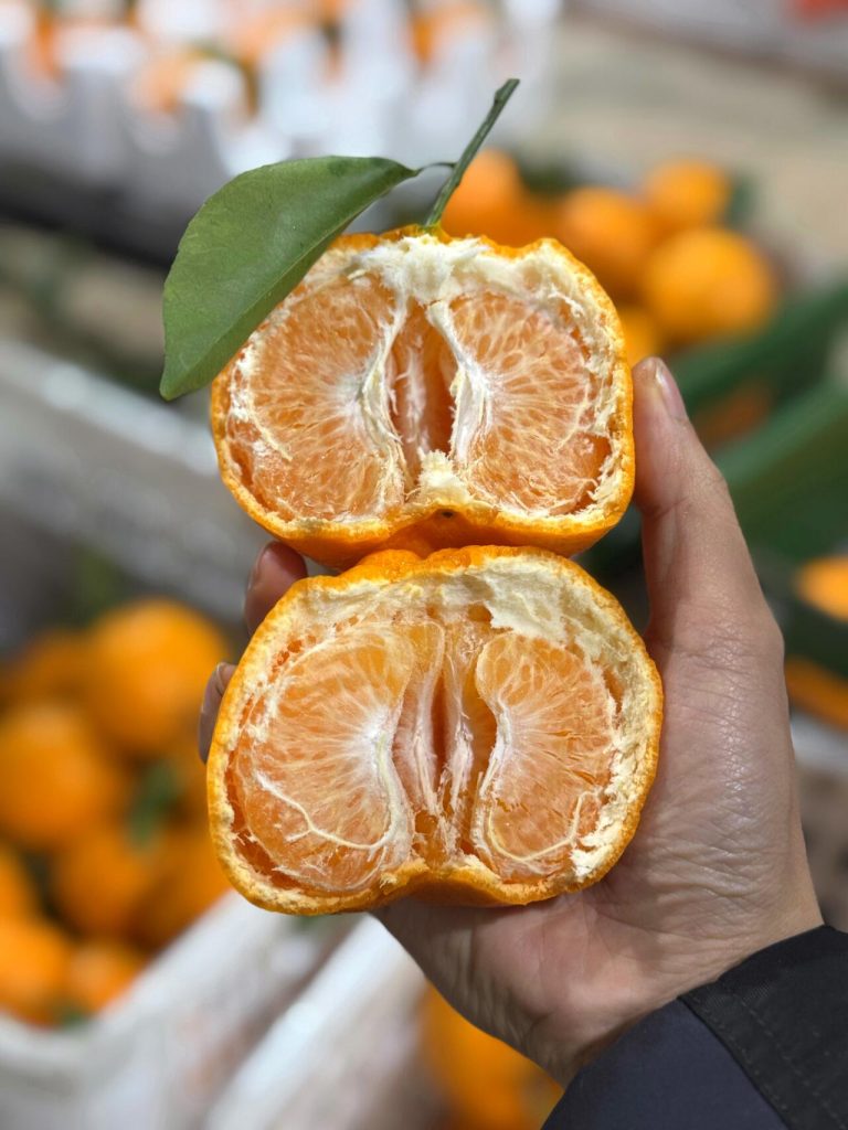 Jeruk Papagan untuk supermarket – Pilihan populer di pasar musim dingin