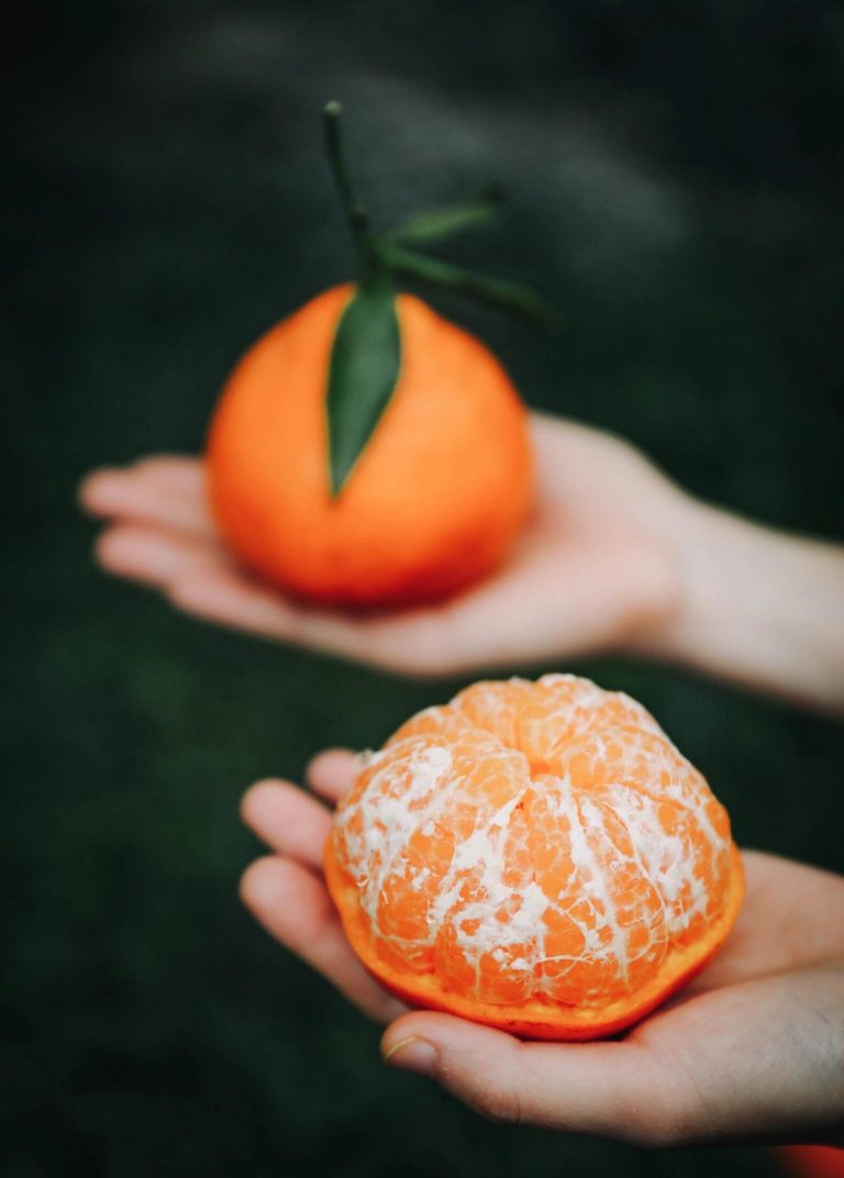 Grosir jeruk mandarin Chun Jian – solusi untuk pedagang besar