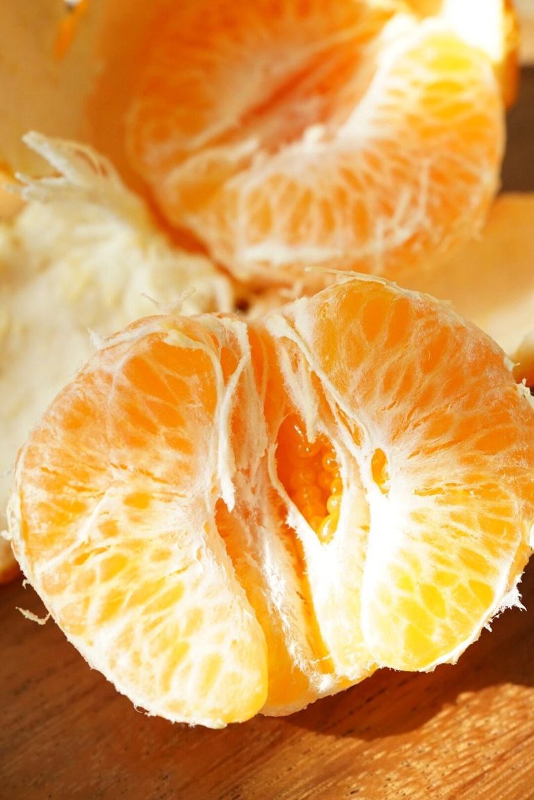 Eksportir Jeruk Mandarin Chunjian – Kualitas premium langsung dari kebun