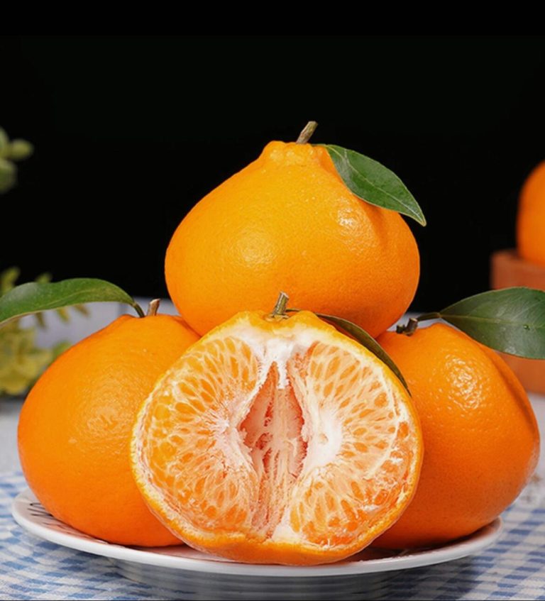 Jeruk Mandarin Cina untuk supermarket – Umur simpan panjang dan populer