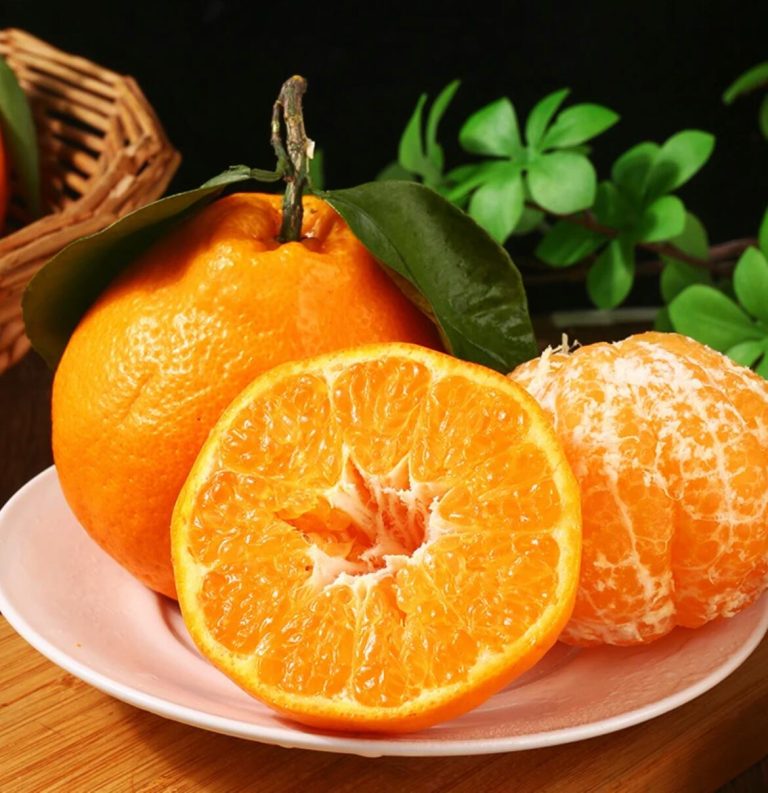 Jeruk Papagan manis segar untuk importir Asia Tenggara