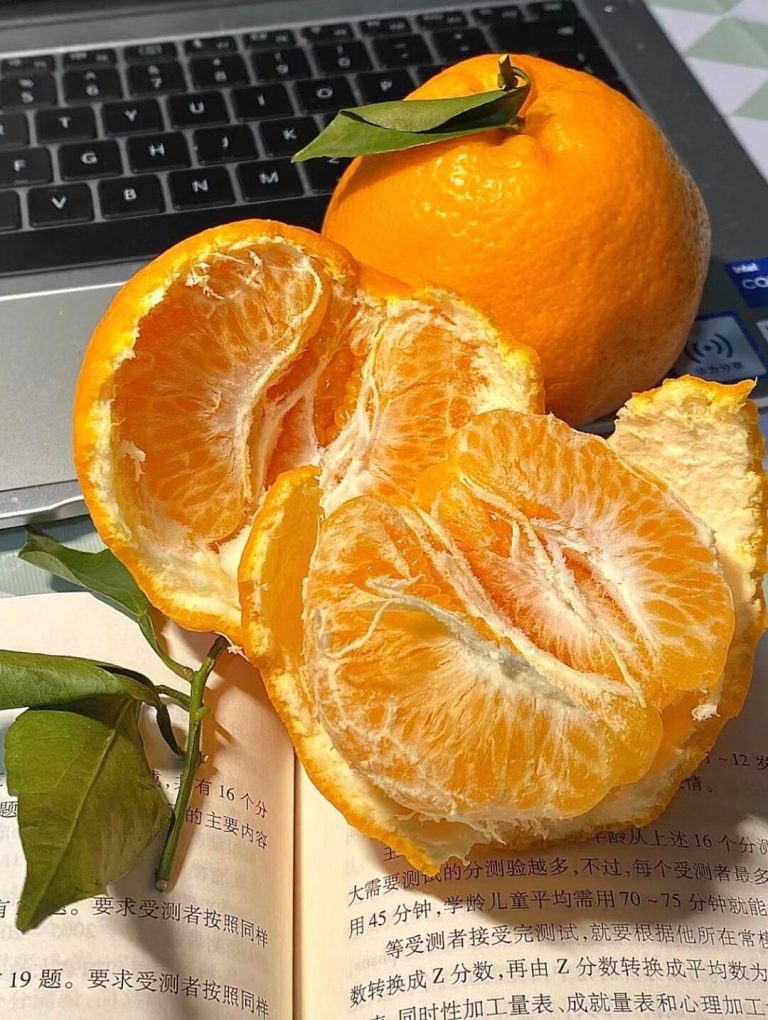 Jeruk Papagan (Chun Jian) – Buah jeruk musim dingin manis dari Cina