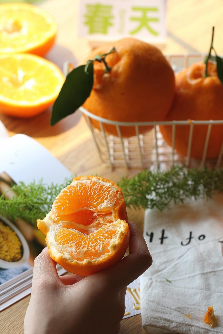 Jeruk Mandarin Chun Jian Papagan grosir untuk pasar musim dingin