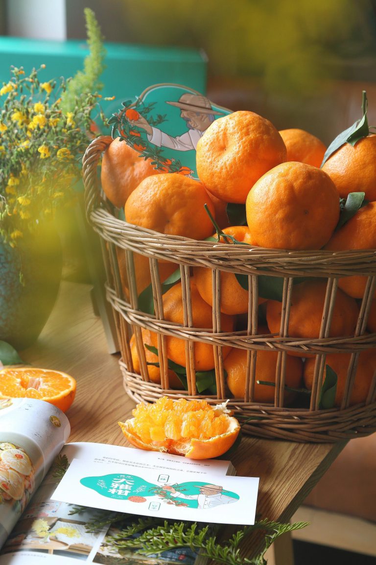 Jeruk Mandarin Chun Jian Papagan grosir untuk pasar buah musim dingin