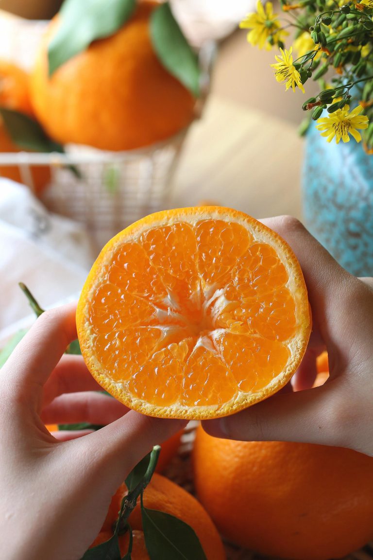 Jeruk Papagan Cina – pasokan buah bermutu tinggi dengan harga bersaing