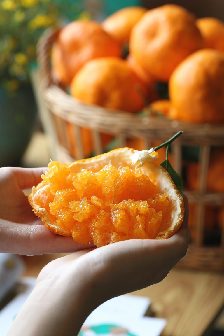 Chun Jian Mandarin Supplier – Jeruk Manis Musim Akhir untuk Pasar Dunia