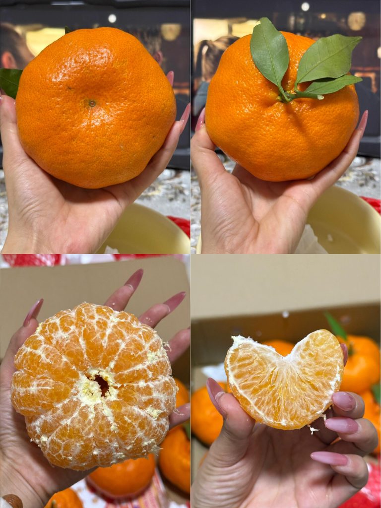 Jeruk Ganping Mandarin – Pemasok Grosir Jeruk Mandarin Musim Akhir